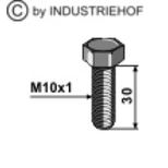 Vis 10x1x30 12.9 pour disque de déchaumeur Amazone Catros