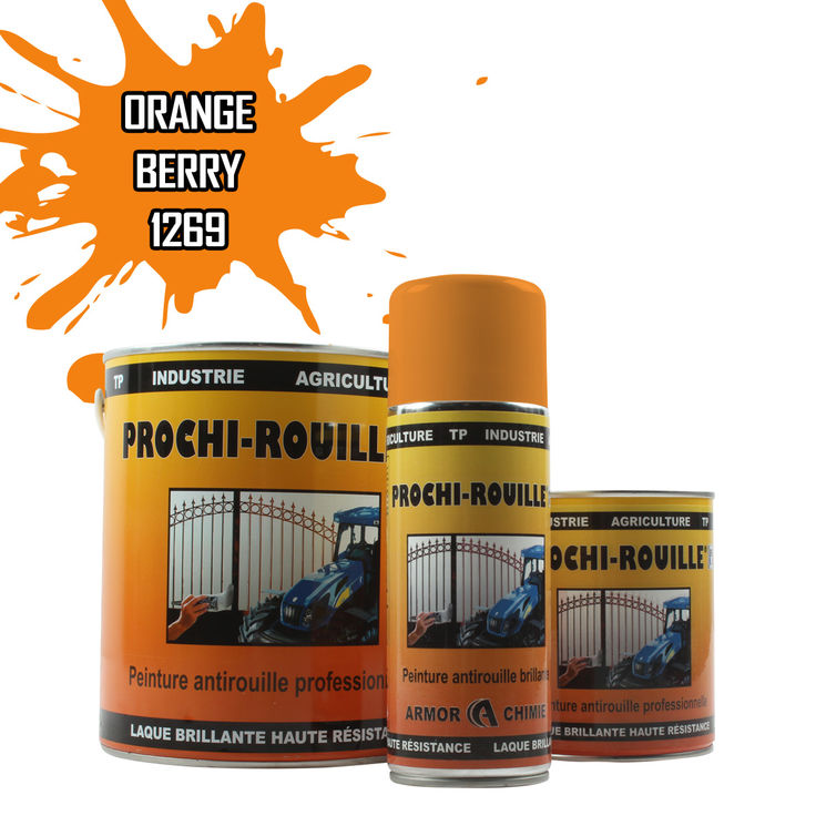 Peinture agricole PROCHI-ROUILLE brillante, Orange, 1269, BERRY