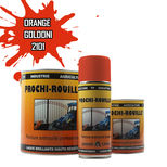 Peinture agricole PROCHI-ROUILLE brillante, Orange, 2101, GOLDONI