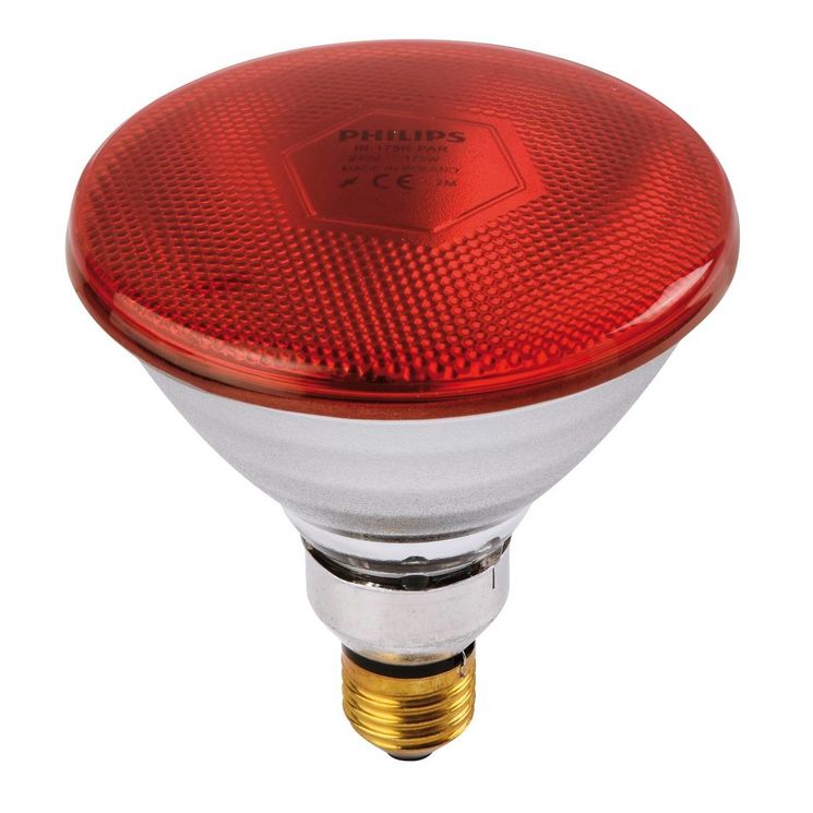 Ampoule IR à vis rouge 175W, PHILIPS