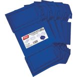 Lot de 5 boite à bec pliable bleue 236x160x130 mm, TAYG