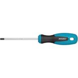 Tournevis Torx alésé TT25 100 mm, HAZET