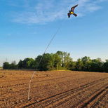 Épouvantail cerf volant aigle noir avec motif, épouvantail de culture, épouvantail de jardin