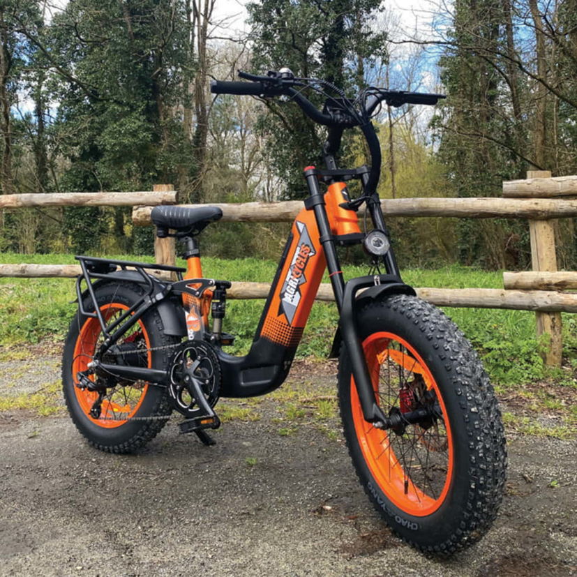 Vélo électrique polyvalent CR20, 750W-250W 14Ah, autonomie 70 km, AGRICYCLES