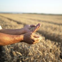 Monde agricole : quelle agriculture pour demain ?