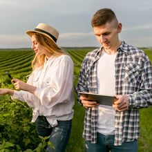 Innovations pour Agriculteurs : créez votre propre application mobile sans coder !