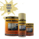 Peinture agricole PROCHI-ROUILLE brillante, Beige, 172, VICON