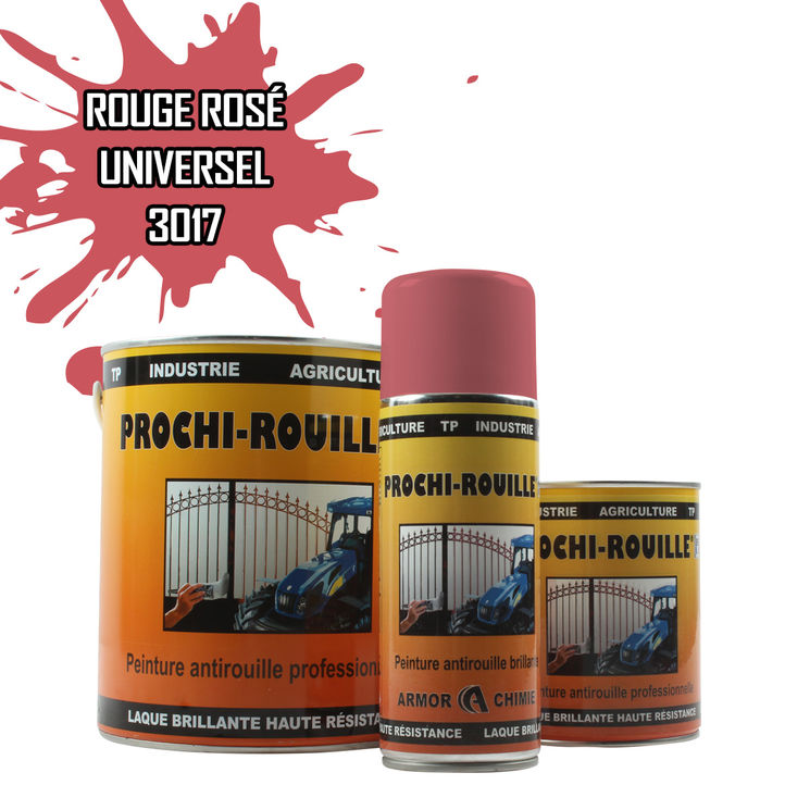 Peinture agricole PROCHI-ROUILLE brillante, Rouge rosé, RAL 3017, UNIVERSEL