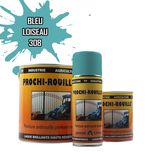 Peinture agricole PROCHI-ROUILLE brillante, Bleu, 308, LOISEAU