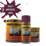 Peinture agricole PROCHI-ROUILLE brillante, Violet, RAL 4004, UNIVERSEL