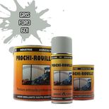 Peinture agricole PROCHI-ROUILLE brillante, Gris, 601, FORD