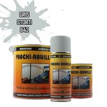 Peinture agricole PROCHI-ROUILLE brillante, Gris, 642, STORTI