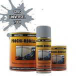 Peinture agricole PROCHI-ROUILLE brillante, gris, RAL 7001, UNIVERSEL