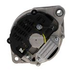 Alternateur 12V - 65Ah sans poulie, branchement B+D+W, pour FIAT AGRI, GOLDONI, LAMBORGHINI, LAVERDA, SAME